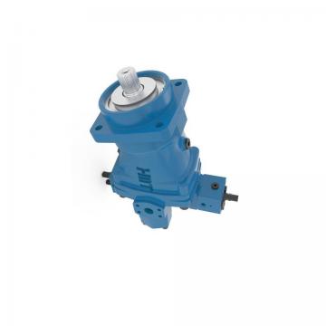 Variable Displacement Hydraulic Bent Axis Pumps                                