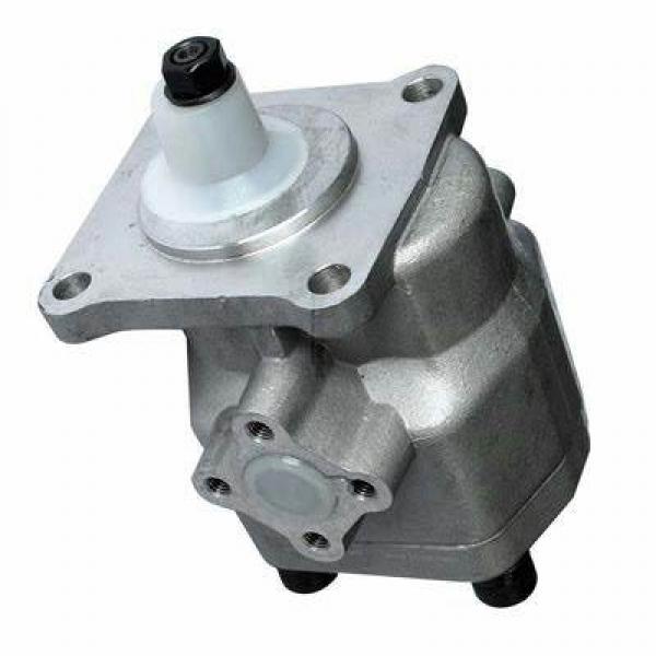 Pompe Hydraulique pour Hürlimann H-6130, Einfachpumpe, Gaucher, (16 cm³) #2 image