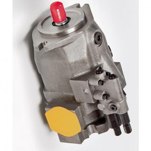 NEW A10VSO100DRS/32R-VPB12N00-S1439 Axial piston pump R902436353 via DHL or EMS #3 image