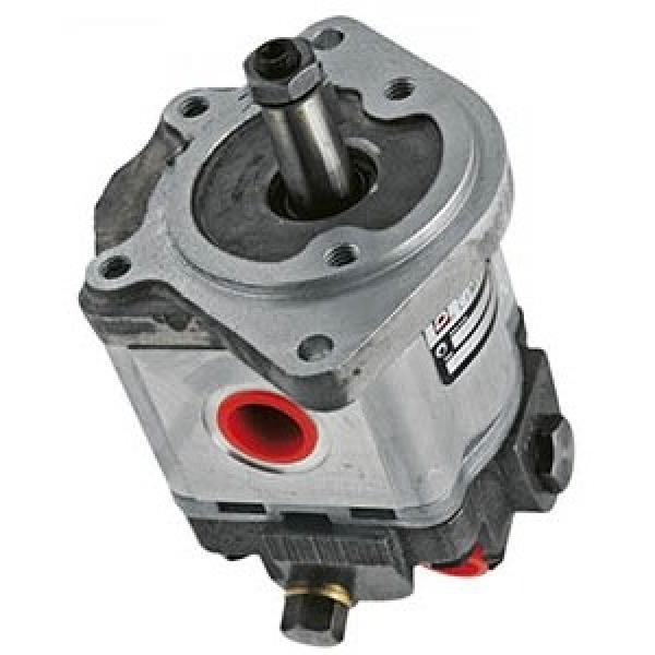 Hydraulic Pump For Nachi PVD-1B-32P Hitachi Mini Excavator EX35 ZX30 ZX30U-2 #1 image